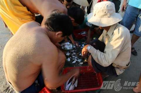Ngày mới, trên biển, Đà Nẵng, làng chài