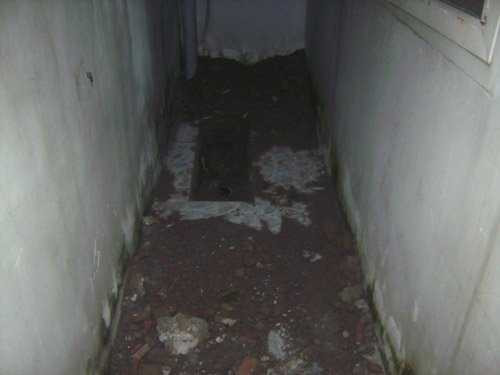 Nơi Tâm chôn xác con nhằm phi tang