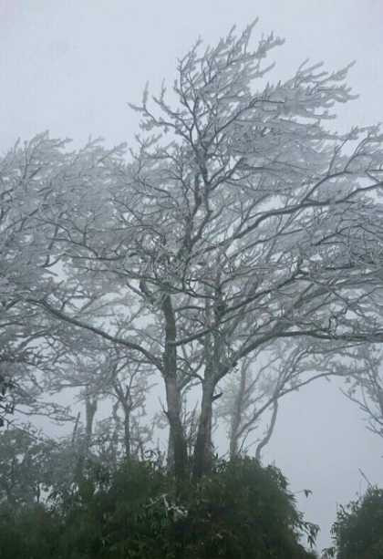 Ở chân núi nhiệt độ anh Đoàn đo được là 4 độ C, do đó để ngắm băng giá mọi người phải lên đỉnh núi. Ở độ cao 1.930 m so với mặt nước biển, dãy núi Phia Oắc được coi là nóc nhà của tỉnh Cao Bằng.