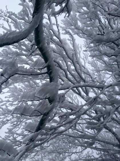 Phia Oắc cũng là một trong số những địa điểm hay xuất hiện băng giá ở phía Bắc, tuy nhiên không nhiều như Sa Pa. Thường khách có thể đi <a href='https://vtcnews.vn/oto-xe-may.31.0.html' >ô tô</a> lên đỉnh núi nhưng hiện đường ở đây đang sửa nên chỉ có thể di chuyển bằng xe máy.