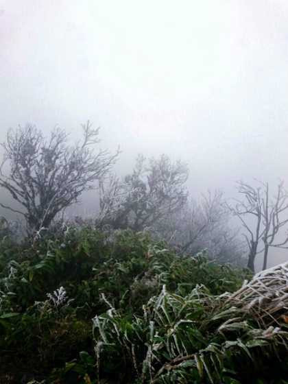 Ảnh: Cao Bằng băng giá phủ mờ ảo núi đồi