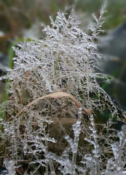 Ngoài Bình Nguyên, hiện tượng băng giá cũng đã xuất hiện ở Sa Pa (Lào Cai), Đồng Văn (Hà Giang). Cơ quan khí tượng dự báo, đêm nay nhiệt độ ở các tỉnh miền núi nhiệt độ tiếp tục xuống thấp.