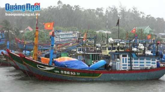 Trước những diễn biến phức tạp của bão Melor, các đơn vị liên quan đang kiểm soát chặt chẽ việc ra biển của các tàu, thuyền. (Ảnh: Báo Quảng Ngãi)