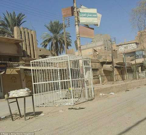 Những chiếc lồng sắt dành cho tù nhân Những chiếc lồng sắt dành cho tù nhân