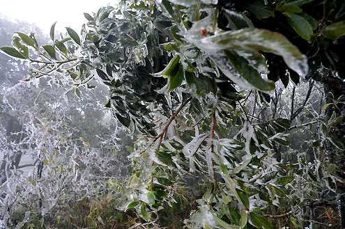 Nhiệt độ giảm sâu, nhiều nơi có thể có băng giá (Ảnh minh hoạ)