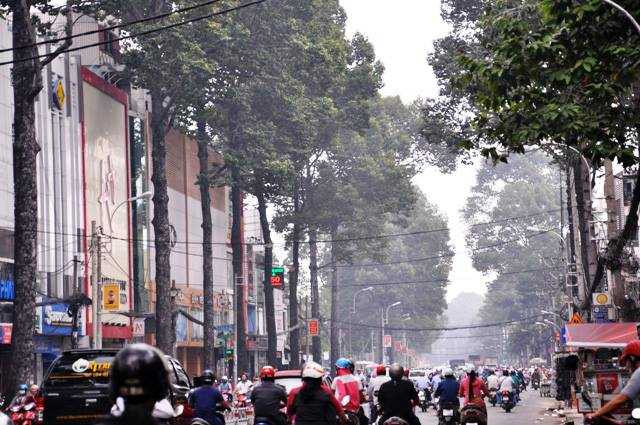 Đến 10h sáng, sương mù vẫn chưa tan hẳn, làm giảm tầm nhìn của người đi đường.