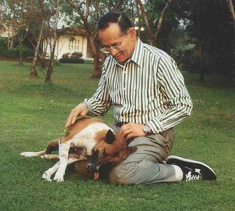 Quốc vương Thái Lan Bhumibol Adulyadej và con chó Tongdaeng Quốc vương Thái Lan Bhumibol Adulyadej và con chó Tongdaeng