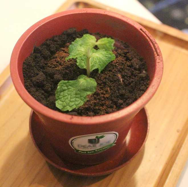 9 món ăn vặt 'lạ mà quen' khuynh đảo giới trẻ Sài thành