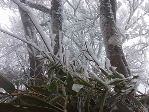 Băng giá xuất hiện ở một số vùng núi như Cao Bằng, Sa Pa...