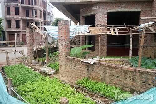 Biệt thự tiền tỷ bỏ hoang thành nơi rửa xe, bán trà đá, thu mua sắt vụn