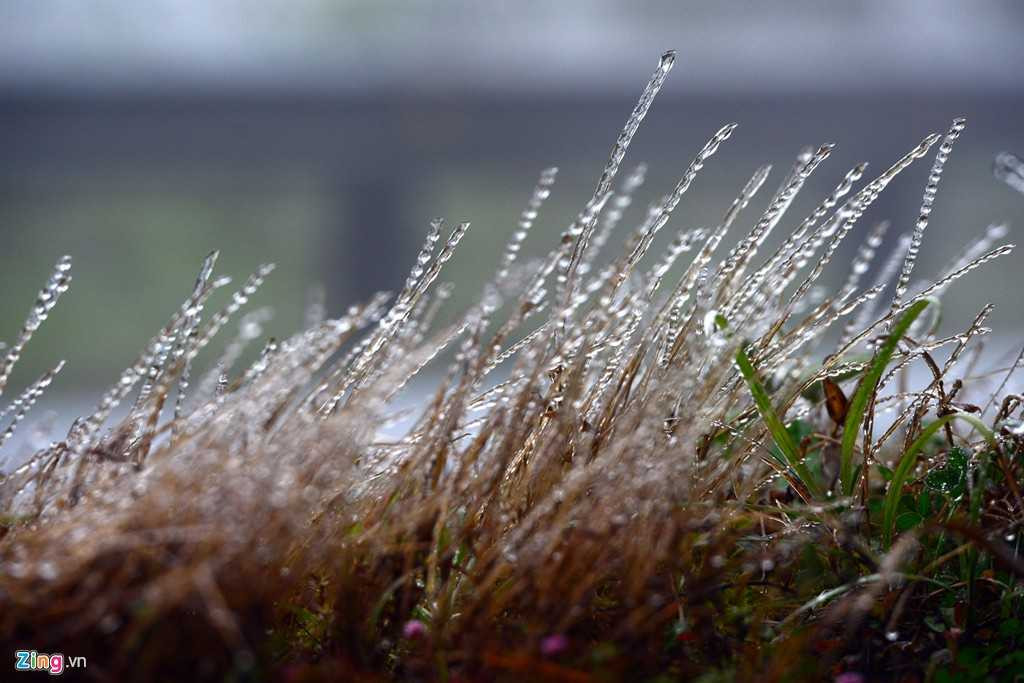 Cũng có khi nhiệt độ đo được chỉ 0 độ C nhưng trạng thái bầu trời không có những điều kiện trên nên không có tuyết rơi, ông Hải nói.