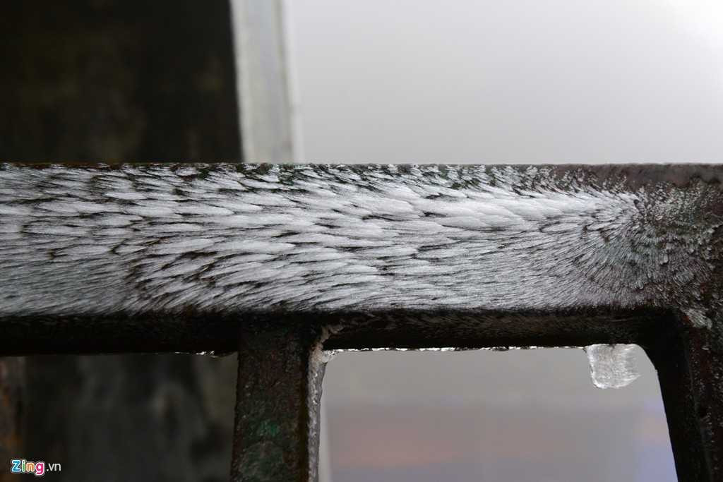 Đặc biệt là trên các cành cây và những nơi đọng nước mưa.