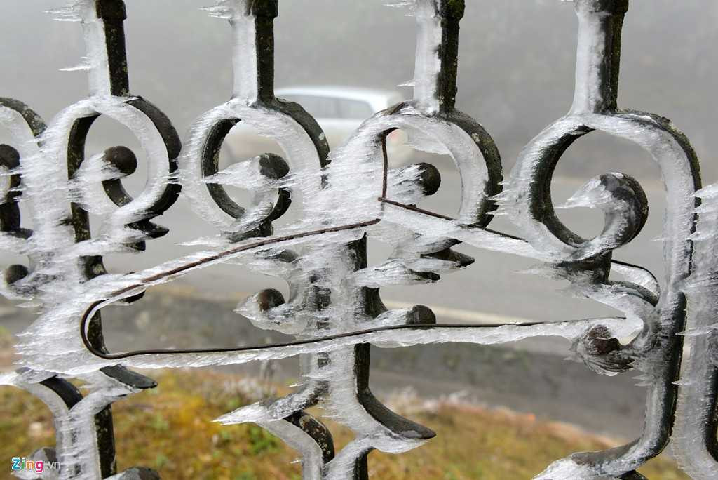 Băng không chỉ xuất hiện trên cành cây, lá cây, cỏ ven đường mà còn xuất hiện trên những hàng rào, thành tường, khung sắt.