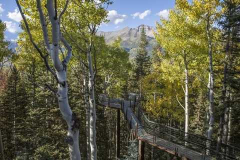 Con đường tiến lên cổng chính ngôi nhờ được xây dựng bằng những tấm ván gỗ chắc chắn và ở độ cao hơn 10m so với mặt đất Con đường tiến lên cổng chính ngôi nhờ được xây dựng bằng những tấm ván gỗ chắc chắn và ở độ cao hơn 10m so với mặt đất