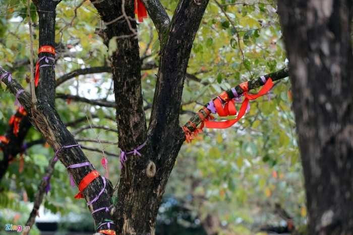 THPT chuyên Phan Bội Châu