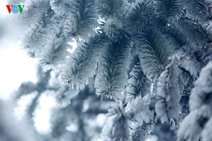 Đến sáng 17/12, băng giá phủ trắng khu vực đỉnh đèo. 