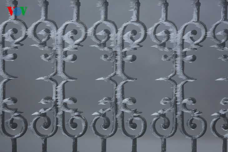 Băng giá phủ trắng Sapa, du khách thích thú chụp ảnh giữa giá rét