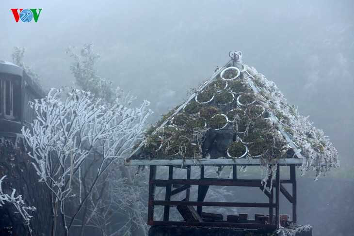 Nhiệt độ đo được tại thị trấn Sapa trong sáng 17/12 là 3 độ C, ở các khu vực băng giá nhiệt độ xuống 0 độ C. 