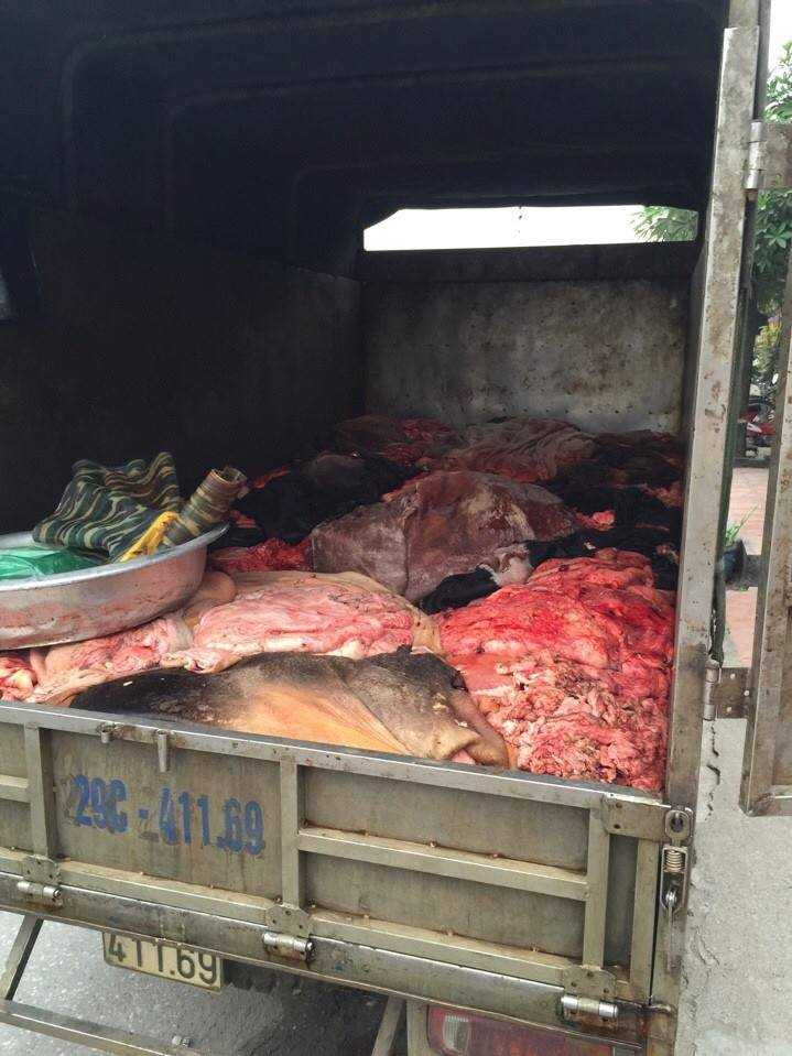 Rùng mình 1 tấn nội tạng thối trên xe tải vào Hà Nội