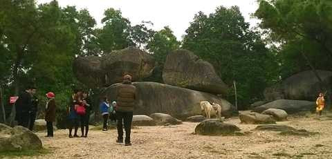 Hòn Trống Mái ở Sầm Sơn. Du khách thì ít, những kẻ chèo kéo, lừa đảo thì nhiều.