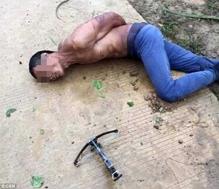 Tên trộm và dụng cụ bắt chó