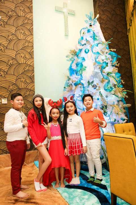 Như thông lệ hằng năm, vào mỗi dịp Giáng sinh, Mr. Đàm lại mở cửa chào đón người hâm mộ đến tham quan nhà. 