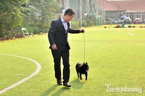 Chú chó trong ảnh là chú chó giống Schipperke đầu tiên ở Việt Nam. Chú Schipperke này gần 12 tháng tuổi, khi trưởng thành nặng khoảng 8kg (to hết cỡ), được mang từ Bỉ về. Đây là loài chó chăn cừu.