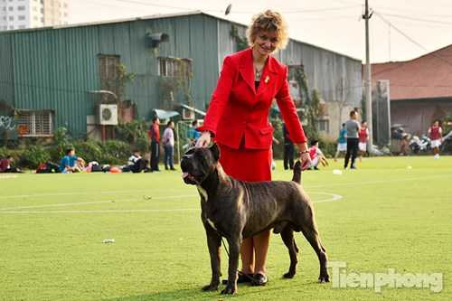 Bà Olga Shilova người Nga đã có trên 30 năm kinh nghiệm huấn luyện chó và “dắt chó đi show” được gia đình anh Kiên mời về tham dự giải.