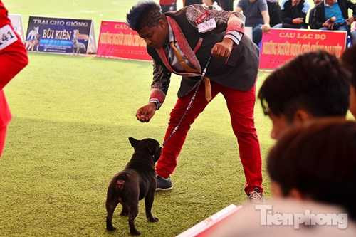 Những người dắt chó dùng thức ăn, đồ vật,... để kích thích chú chó.