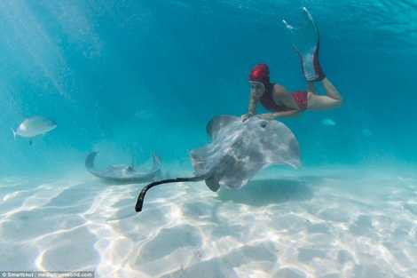 Chơi đùa cùng sát thủ của đại dương Chơi đùa cùng sát thủ của đại dương