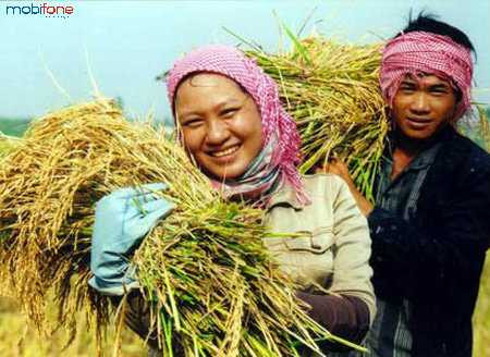 Dịch vụ Nhà nông xanh