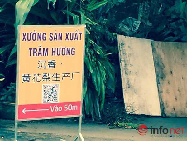 ... mà cả một số hàng quán xung quanh cũng toàn treo biển hiệu tiếng Trung Quốc. 