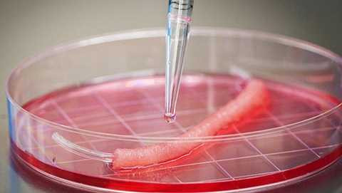 Y học đang phát triển mạnh mẽ 