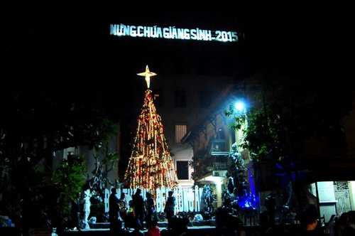 Cây được đặt trước sân khấu biểu diễn ca nhạc Đêm Thánh – Đêm Hồng Ân của nhà thờ.
