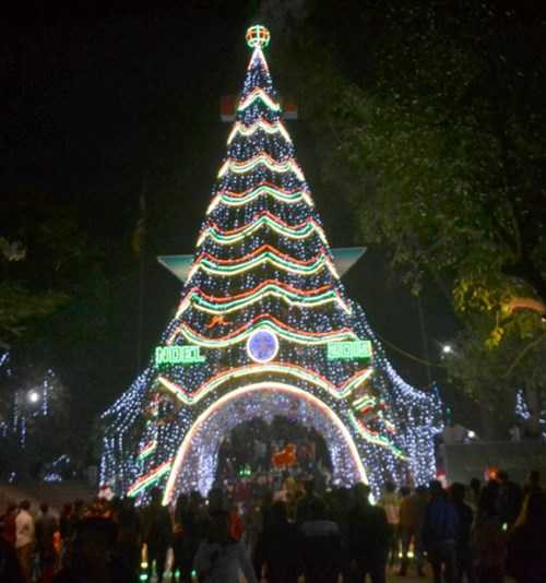 Trước cửa nhà thờ Trại Gáo là một cây thông lớn được thiết kế theo hình tháp Eiffel (Ảnh: Phạm Đức/TNO)