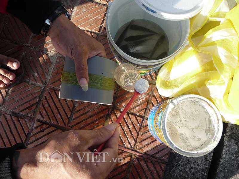 Dùng bột mỳ câu cá, kiếm nửa triệu mỗi ngày