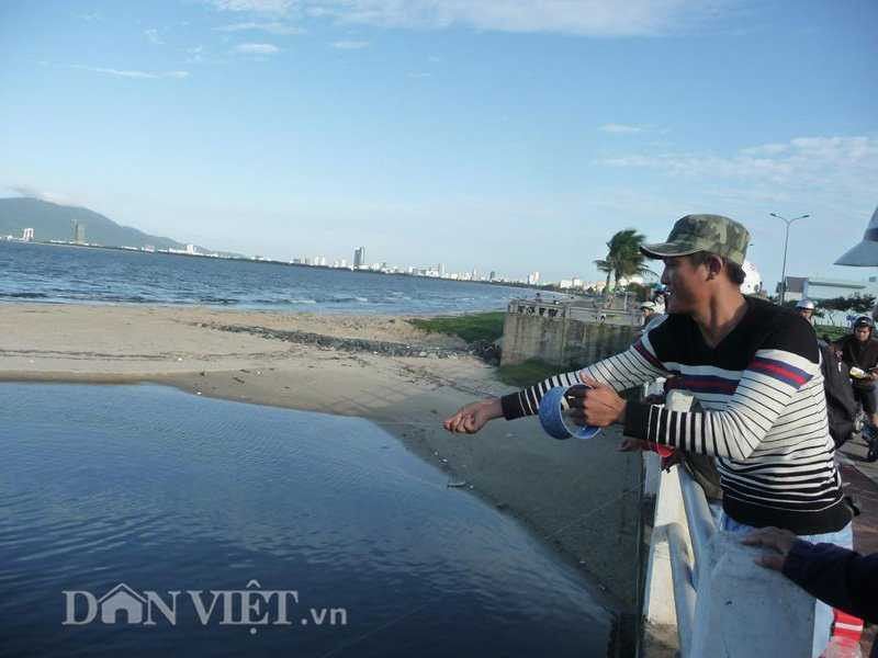 Dùng bột mỳ câu cá, kiếm nửa triệu mỗi ngày