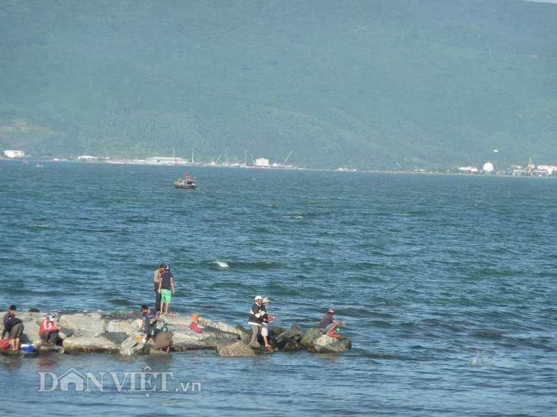 Dùng bột mỳ câu cá, kiếm nửa triệu mỗi ngày