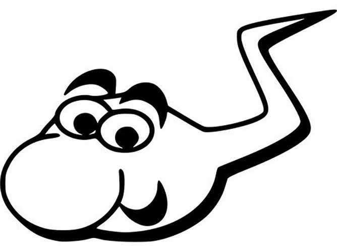 Giới tính của tinh trùng: Không phải tất cả tinh trùng có nhiễm sắc thể nam. Đây là điều bạn nên hiểu biết về tinh trùng. Người ta nói rằng một số tinh trùng có thể mang nhiễm sắc thể X cũng như có thể mang nhiễm sắc thể Y. Vì vậy, đừng nghĩ rằng chỉ có tinh trùng mang nhiễm sắc thể nam. 