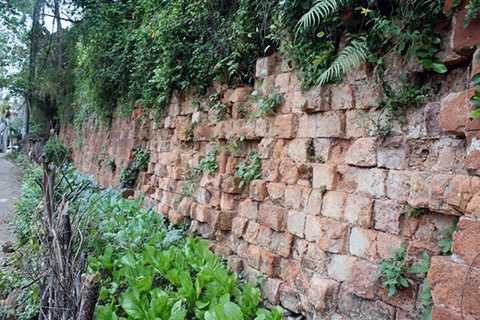Tường thành phía Tây, nhiều đoạn đã xuống cấp. Tường thành phía Tây, nhiều đoạn đã xuống cấp.
