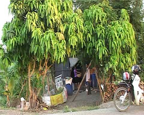 Đâm chết người, bị đòi nợ, 300.000 đồng, hung thủ, giết người