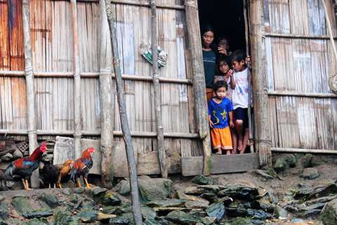 Cặp vợ chồng, khắc khổ, 13 đứa con, sống biệt lập, trong rừng, Quảng Ngãi