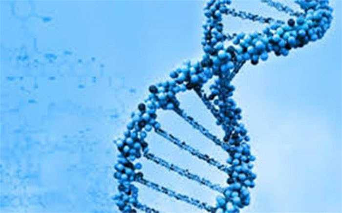 Từ bản đồ của hơn 100 loại tế bào nhân sơ và nhân chuẩn, sẽ giúp các nhà nghiên cứu và y khoa hiểu rõ hơn mối liên hệ phức tạp giữa ADN con người với các loại bệnh tật. 