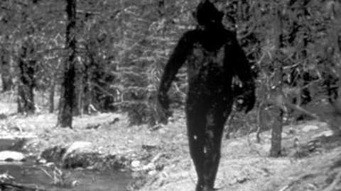 Quái vật nửa người nửa khỉ khiến các nhà khoa học Trung Quốc đau đầu Quái vật nửa người nửa khỉ khiến các nhà khoa học Trung Quốc đau đầu