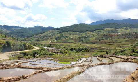 Những ruộng bậc thang bạt ngàn