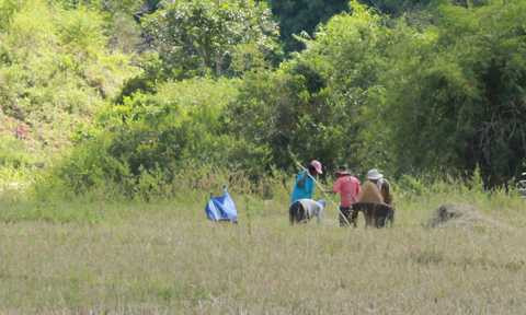 Cuộc sống tự cấp tự túc nơi đỉnh núi cao nhất miền Nam này gần như tách biệt với dưới kia