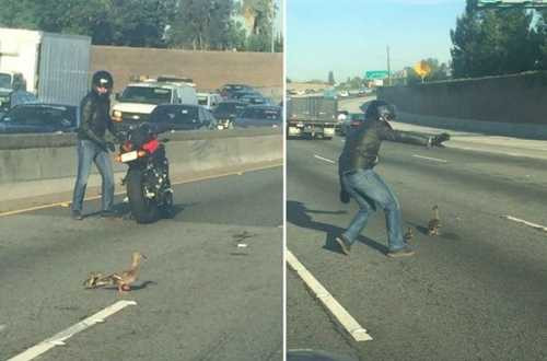 13 hành động chứng tỏ cuộc sống vẫn còn nhiều điều tốt đẹp