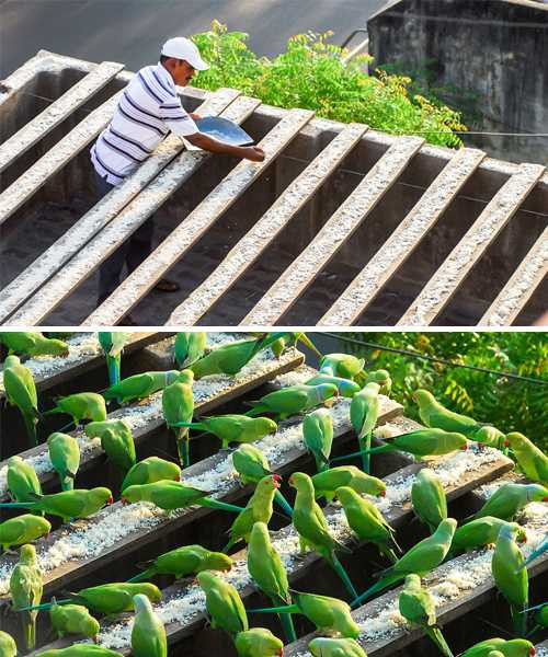 13 hành động chứng tỏ cuộc sống vẫn còn nhiều điều tốt đẹp