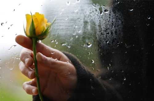 5 biểu hiện đau đớn của cơ thể khi bạn bị thất tình