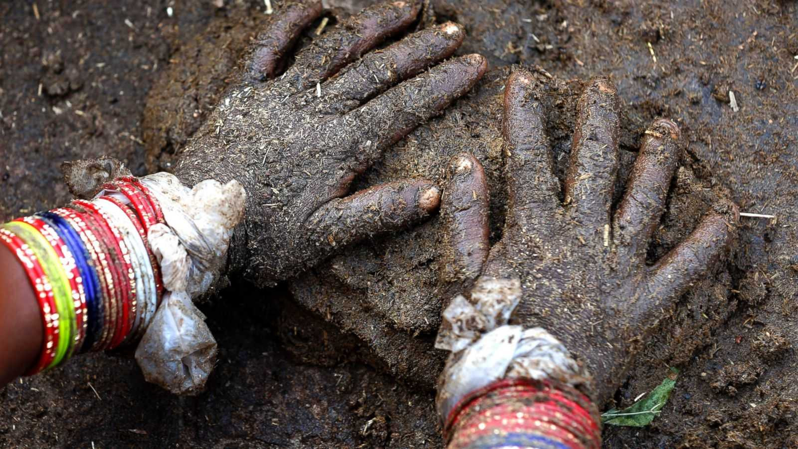 Phân bò được trộn với cỏ khô để nặn thành bánh